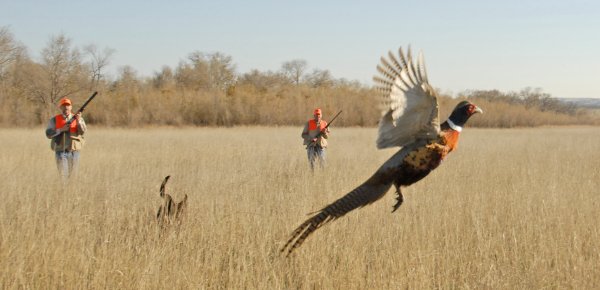 FP-Slide-hunting01-600x290