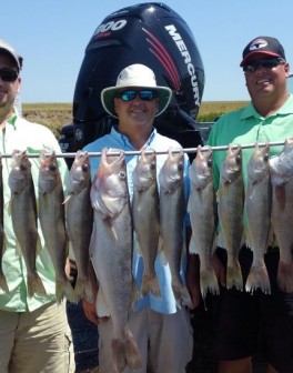 !cid_01121434-20aa-4548-8426-97e979c1b88e