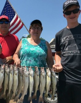 !cid_04518895-94b0-4606-ab53-a713f5c772ff