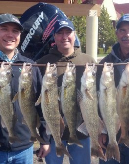 !cid_37763096-ea54-457d-b7dd-dea5a121330e