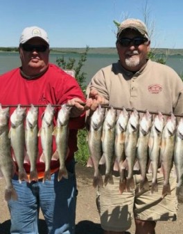 !cid_3e806ea7-32cb-4cd5-89f0-3d96589c5861