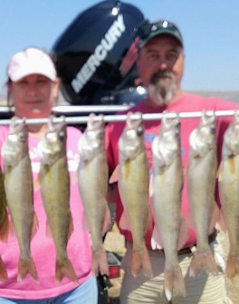 !cid_488bf725-48fa-44c4-86f0-666a6e61f38d