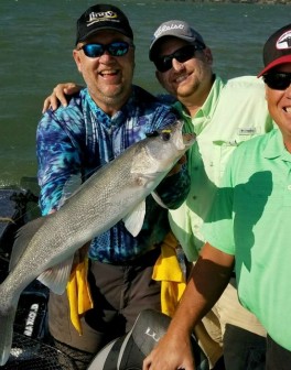 !cid_57598349-fd80-4167-91bd-35d44bc176da