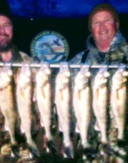 cid_f3be59b0-3c18-4a8f-9c83-be0fd4546ca3